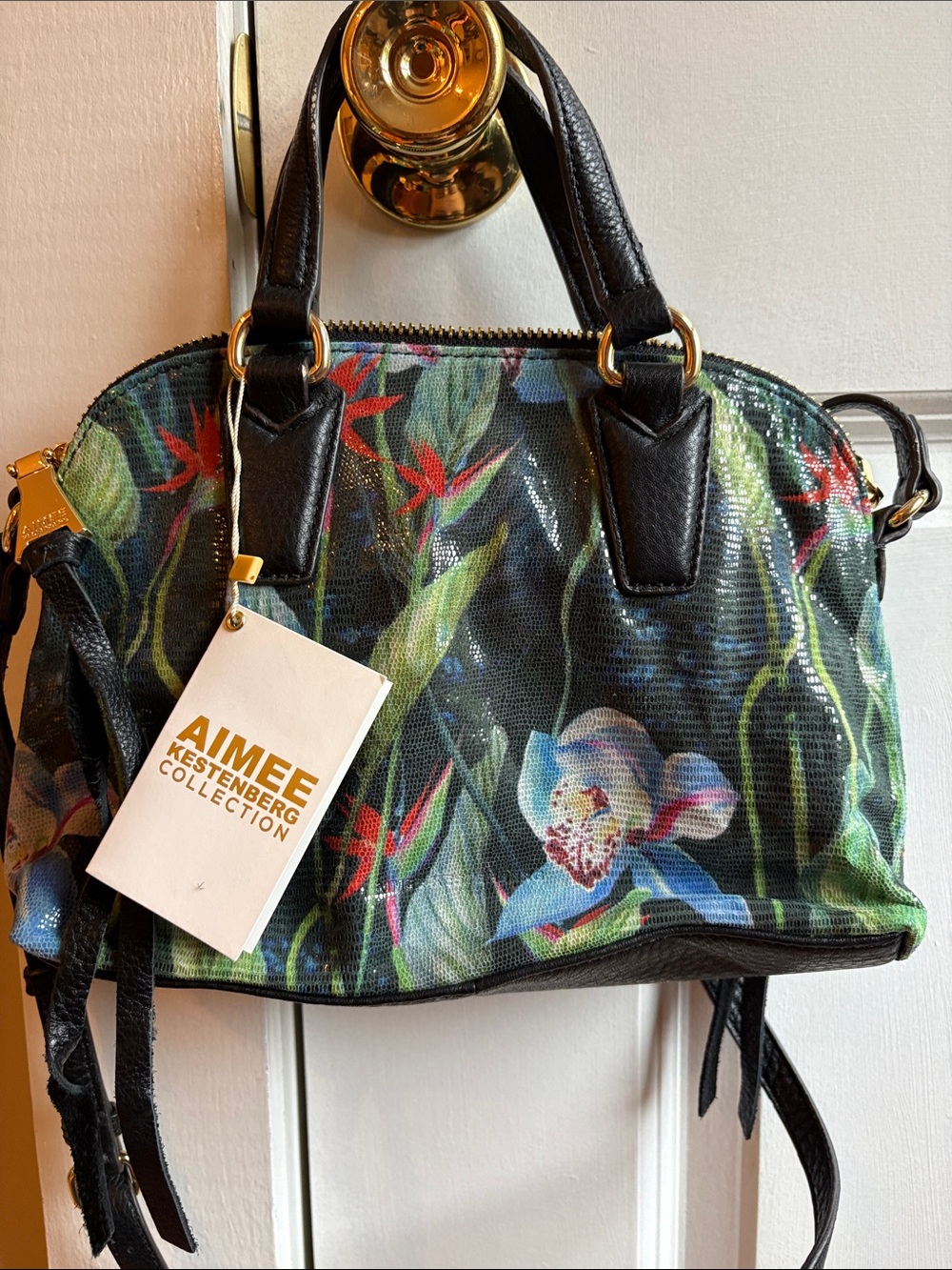 Aimee Kestenberg Black Floral Dome Satchel with Multicolor Botanicals
